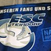 Training und NHL - Trainingslager 2017 - Steindorf